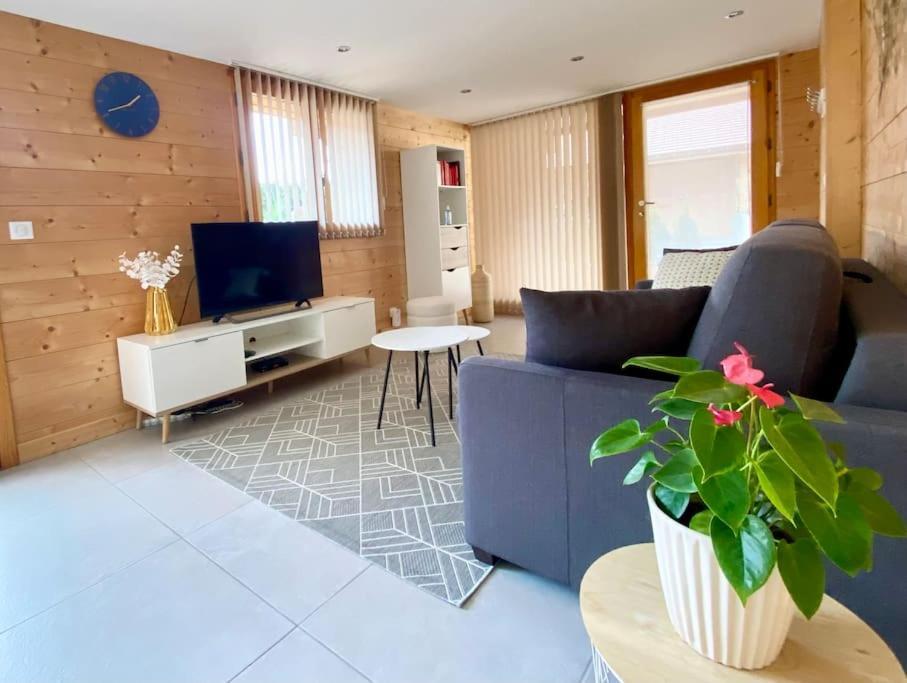 Androsace Appartement Dans Chalet Bois Avec Jacuzzi Privatif Terrasse Et Vue Montagne Les Villards-sur-Thones Екстер'єр фото