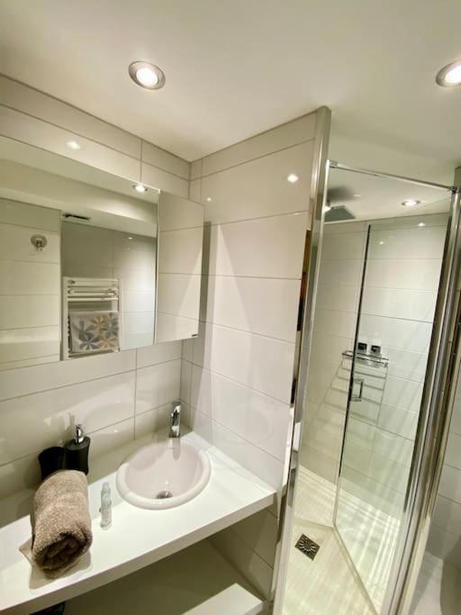 Androsace Appartement Dans Chalet Bois Avec Jacuzzi Privatif Terrasse Et Vue Montagne Les Villards-sur-Thones Екстер'єр фото