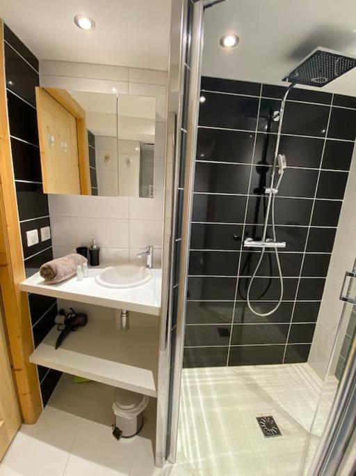 Androsace Appartement Dans Chalet Bois Avec Jacuzzi Privatif Terrasse Et Vue Montagne Les Villards-sur-Thones Екстер'єр фото